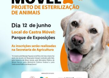 Castração gratuita de cães e gatos: Presidente Olegário abre 150 vagas; veja como agendar